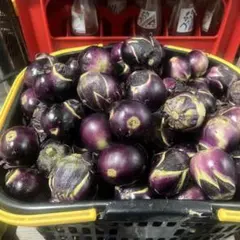 訳あり大きめ薄皮丸ナス 唐揚げ、味噌いり　産地直送クール便10kg沖縄離島除く 訳あり大きめ薄皮丸ナス 唐揚げ5kgクール便 沖縄離島除く - メルカリ