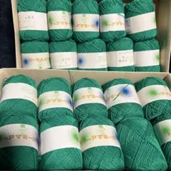 めいぷるさま専用トーアマミーポリ　　２５g 緑色毛糸 20玉