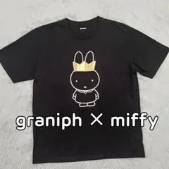 Item thumbnail for item 94343d2c-b193-4c51-bb7e-306558b7e45c