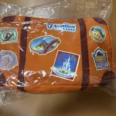 新品　ディズニー　ブランケット　バケーションパッケージ限定　バケパ　ミニー