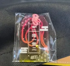 那蘭のどか アクリルお守り ガラポン ONE LiFE! iLiFE 武道館