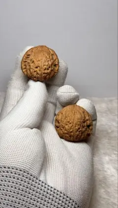 30mm 逐鹿 窪底 南疆石クルミ（文玩胡桃） - メルカリ