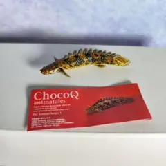 チョコQ　ペット動物第５弾　ポリプテルス・エンドリケリー(ノーマル)【海洋堂】のサムネイル