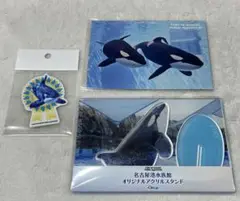レア　名古屋港水族館限定　シャチ　アース　リン　3Dうちわ レア 名古屋港水族館限定 シャチ アース リン 3Dうちわ