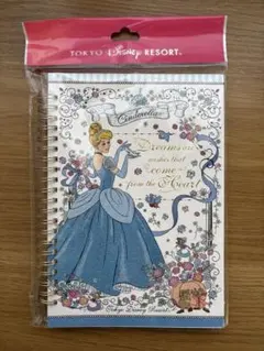 シンデレラ ノート 水色 東京ディズニーリゾート
