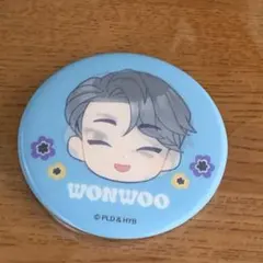 ウォヌPetiTEEN プチティーン 缶バッジ　SEVENTEEN セブチ