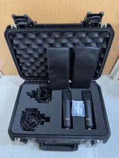 Item thumbnail for item 3546c008-e60d-47e1-a4e5-da48ea959b95