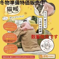 캐티 맨 캣 워밍업 랩 포켓 블랭킷
