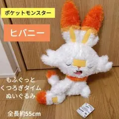ポケモン　ヒバニー　ポケットモンスター　もふぐっと　くつろぎタイムぬいぐるみ