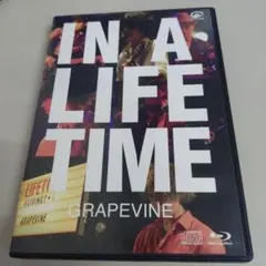 グレイプバイン GRAPEVINE Lifetime レコード アナログ - メルカリ