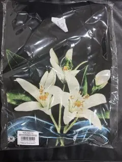 TENBLANK Tシャツ セントマイケルコラボ 佐藤健 テンブランク Mサイズ