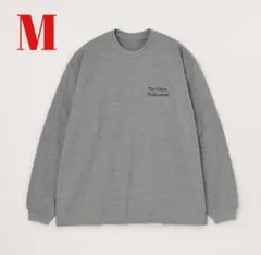 ennoy エンノイ L/S BORDER T-SHIRTS Mサイズ gray