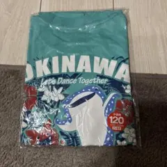 kazu0916様 リクエスト 2点 まとめ商品