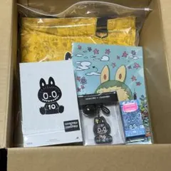廃盤・日本未発売】POPMARTラブブLABUBUアートARTシリーズ全12種