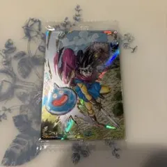 ワギーさん　専用