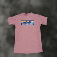 パタゴニア☆ウィメンズ キャプリーンクール デイリー グラフィック シャツ