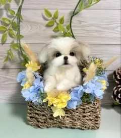 羊毛フェルト　にこにこポメラニアンのバスケット 羊毛フェルト 羊毛犬 にこふわポメラニアンのフラワーバスケット