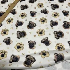 ポリエステル裏毛ニット生地