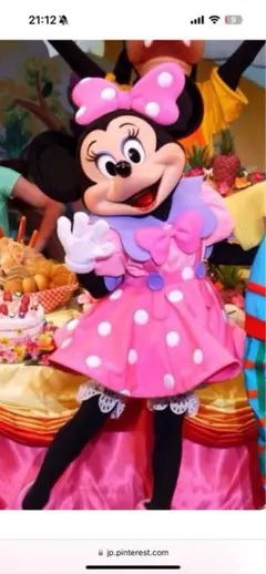 ゆな様専用★ミニーちゃん衣装型紙セット