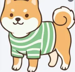 ぴっぴ様専用のサムネイル