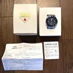 Item thumbnail for item 721248c7-80ca-47cb-94ee-0842d5e64946