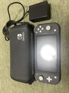 Nintendo Switch Lite グレー 充電器・ケース付き