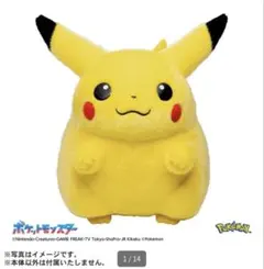 ポケットモンスター ポケモン30周年記念 おかえり！ピカチュウ1/1