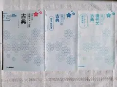 【書き込みなし】即日発送️⭕️ 大学入試共通テスト演習古典 漢文
