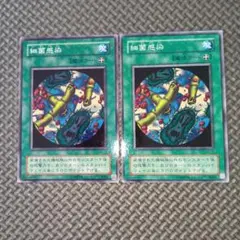 遊戯王　細菌感染　b85