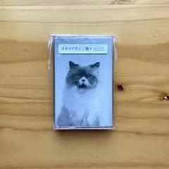 Item thumbnail for item 38b1a1d6-3d72-4d44-8a0f-320b9ef0db43