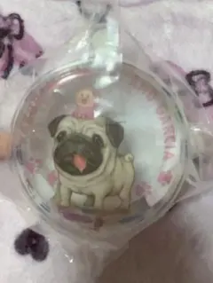 KAKUREMONJIRI AND GARCIA パグキャラクターグッズ