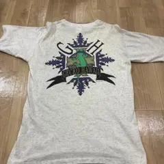 80s USA製 GECKO HAWAIIネオン Tシャツ M BELTON
