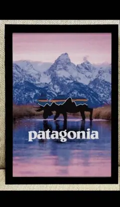 Edward Truter brings/パタゴニア/ポスター Edward Truter Edward Truter brings/パタゴニア/ポスター brings