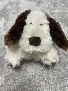 2026年最新】jellycat ジェリーキャット いぬの人気アイテム - メルカリ