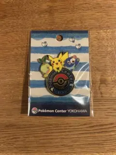 2026年最新】ポケモンセンター ピンズの人気アイテム - メルカリ