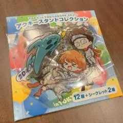 2026年最新】キヨ アクキーの人気アイテム - メルカリ