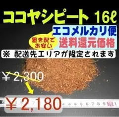 Item thumbnail for item 32b76d9e-664e-4ac1-b5ea-f9cc60b8d019