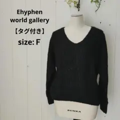 イーハイフンワールドギャラリー タグ付き Vネック ニット ブラック F