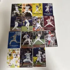 プロ野球チップスカード 2025 カルビー　プロ野球カードセット