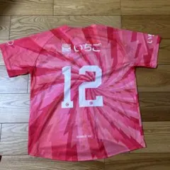 テゲバジャーロ宮崎 ベースボールシャツ
