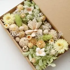 no.17490 木の実詰め合わせ　花材セット　クリアグリーン