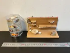 Item thumbnail for item 8e717fea-53bb-4178-b510-3dd3f62301df