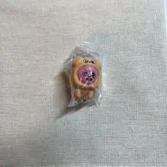 Straykids SKZOO つまんでつなげてますこっと カニカンver.