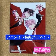 花とゆめ 2026年 9号 アニメイト 特典 ブロマイド 多聞くん今どっち