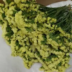 はりちゃん様 リクエスト 6点 まとめ商品