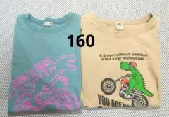 BRANSHES　ダイナソー柄　半袖Ｔシャツ　160　2枚セットのサムネイル