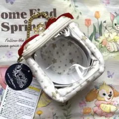 TDS ダズリングクリスマス　ポーチ　プレゼントボックス