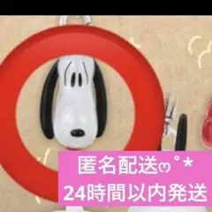 PEANUTS めじるしアクセサリー FUNNY ver. スヌーピーA