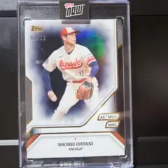 Topps NPB Sadaharu Oh Relic Card 4/5 - メルカリ