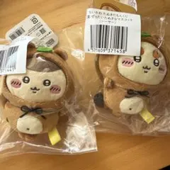 たぬきだもんくじC賞 シーサー くりまんじゅうセット